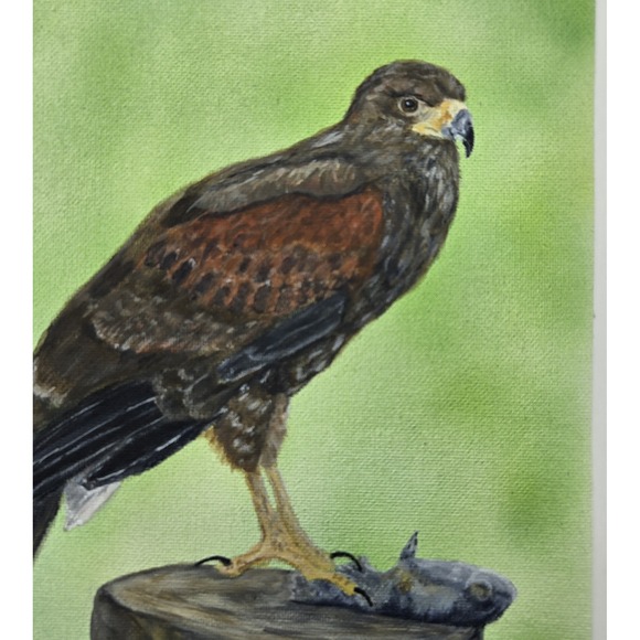 Original Acrylic Painting Harris Hawk 9x12  Wildlife Bird of Prey Art Canvas - Picture 3 of 6